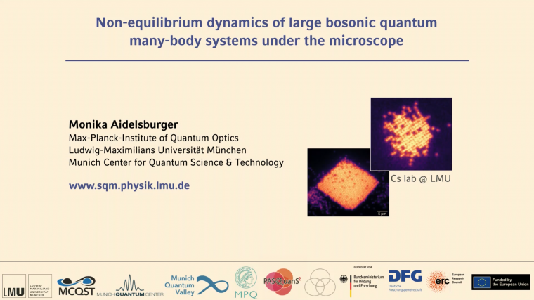 Non-equilibrium dynamics of large bosonic quantum many-body systems under the microscope