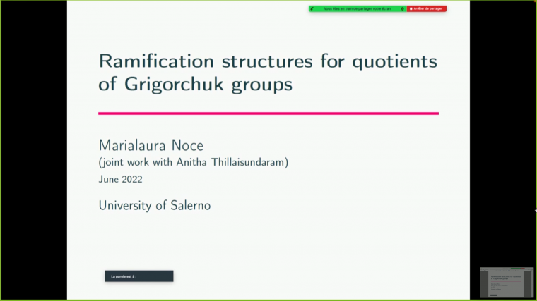 Ramification structures for quotients of the Grigorchuk groups