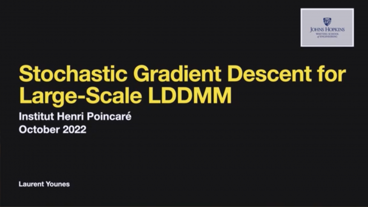 Stochastic gradient descent for large-scale LDDMM - Part 1