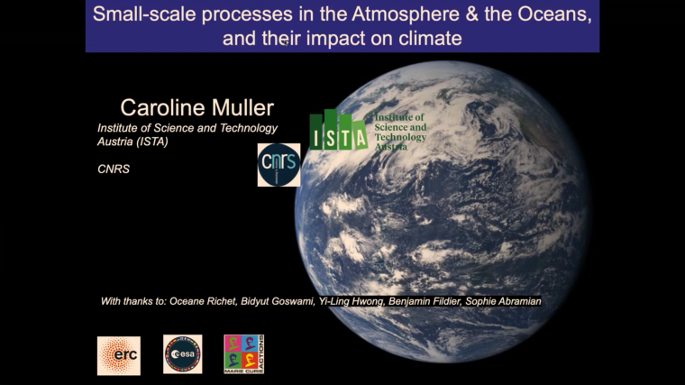 Phénomènes petite échelle de l'océan et de l'atmosphère, et leur représentation dans les modèles climatiques