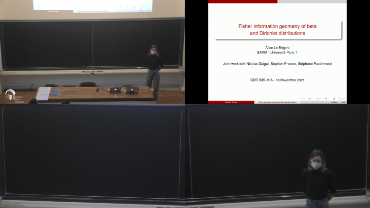 Fisher information geometry of beta and Dirichlet distributions