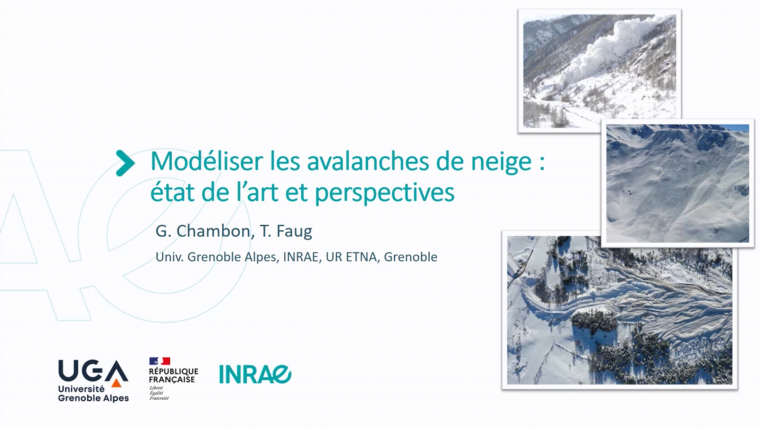 Modéliser les avalanches de neige : état de l'art et perspectives