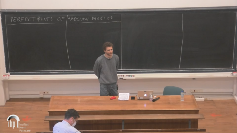 Perfect points of abelian varieties