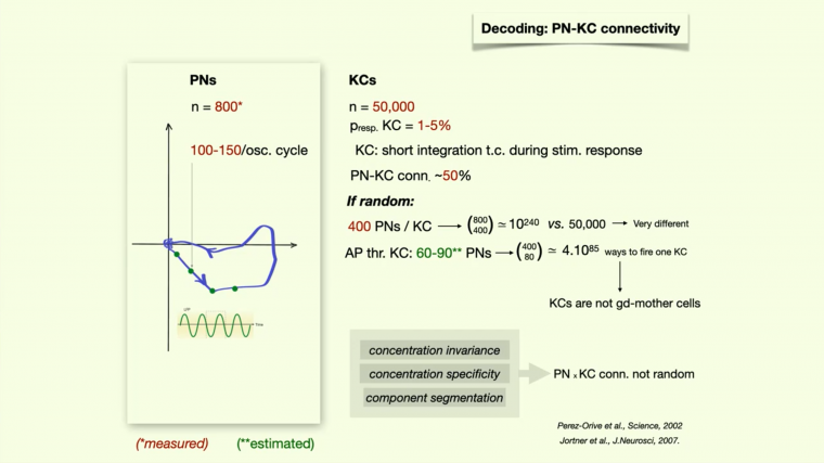 Exploring the space of neural systems dynamics