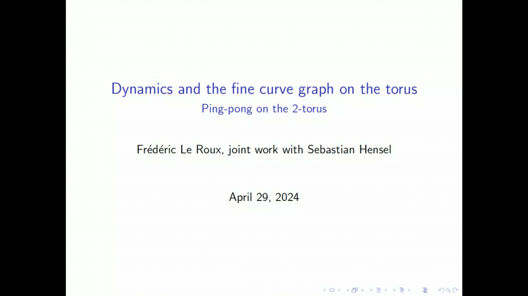 Around the fine curve graph of the torus