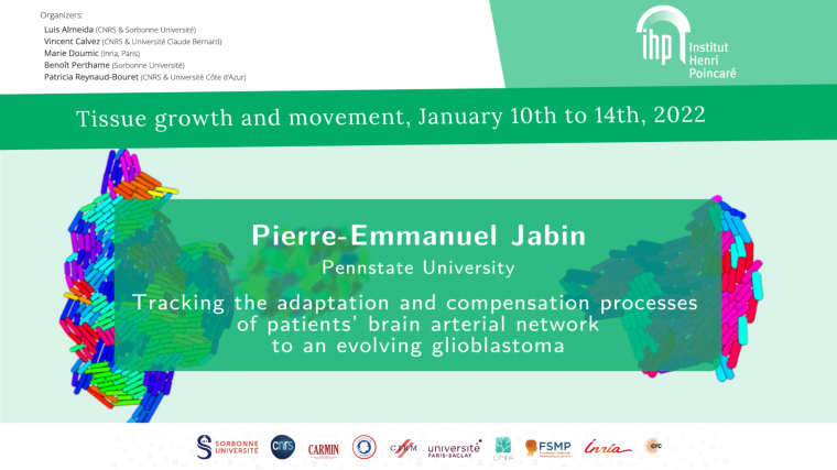 Tracking the adaptation and compensation processes of patients’ brain arterial network to an evolving glioblastoma