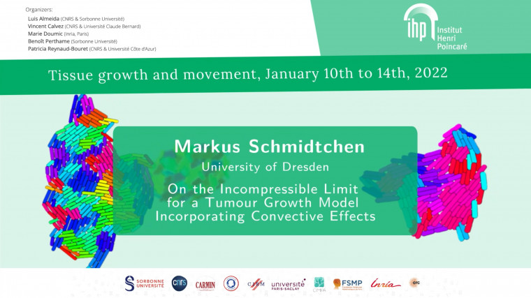 On the Incompressible Limit for a Tumour Growth Model Incorporating Convective Effects