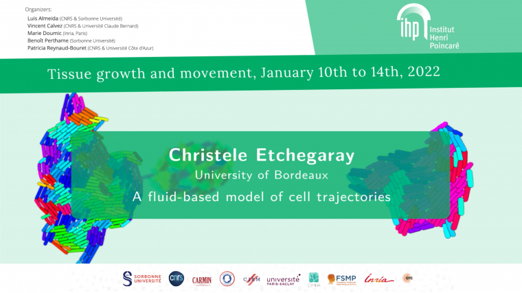 A fluid-based model for single-cell migration