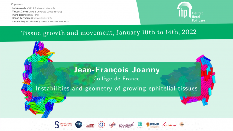 Instabilities and geometry of growing tissues