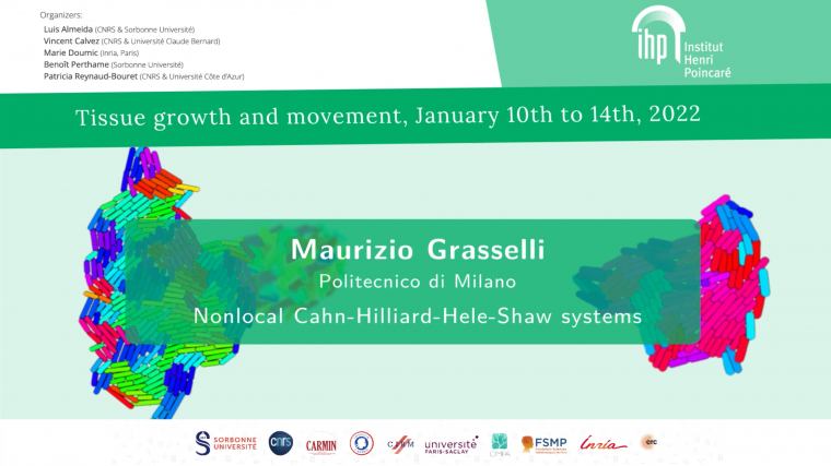 Nonlocal Cahn-Hilliard-Hele-Shaw systems