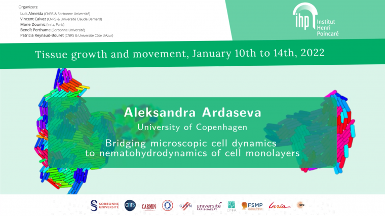 Bridging microscopic cell dynamics to nematohydrodynamics of cell monolayers
