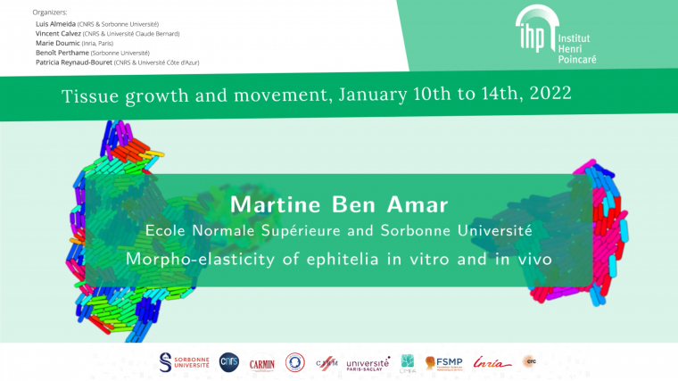 Morpho-elasticity of thin living structures