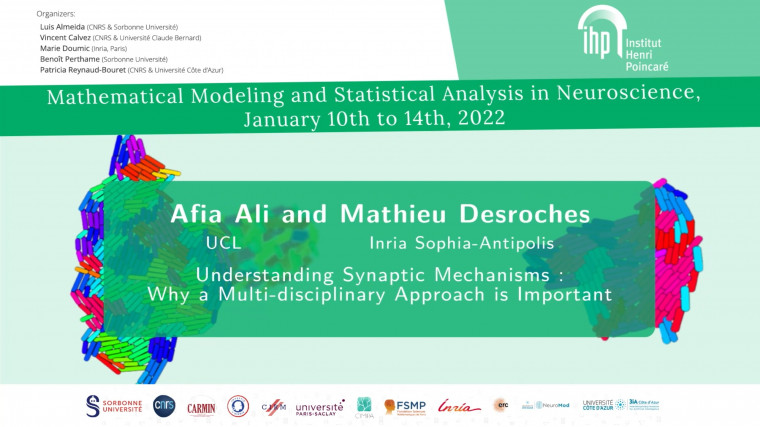 Understanding Synaptic Mechanisms: Why a Multi-disciplinary Approach is Important