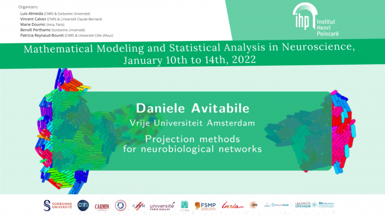 Projection methods for spatially-extended neurobiological models