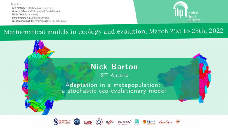 Adaptation in a metapopulation : a stochastic eco-evolutionary model