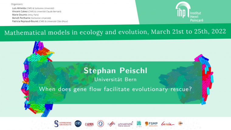 When does gene flow facilitate evolutionary rescue?