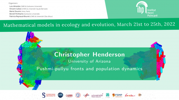 Pushmi-pullyu fronts and population dynamics