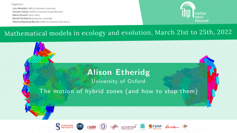 The motion of hybrid zones (and how to stop them)