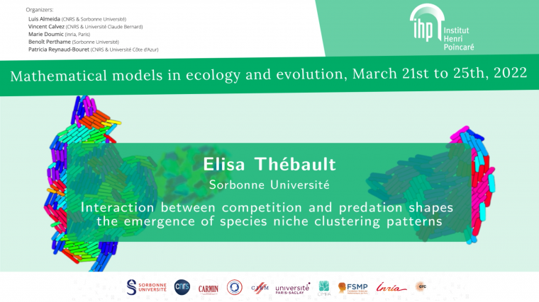 Interaction between competition and predation shapes the emergence of species niche clustering patterns