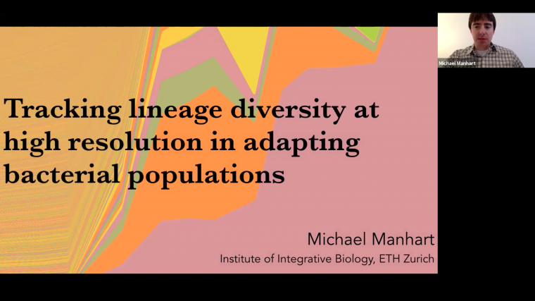 Tracking lineage diversity at high resolution in adapting bacterial populations