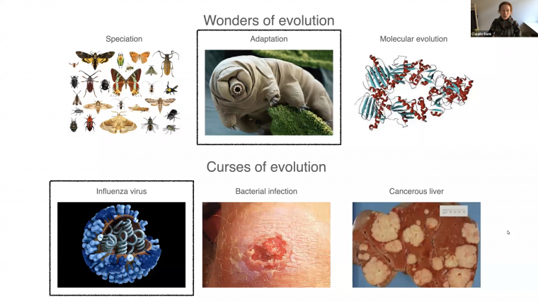 Drug-induced mutational meltdown and its circumvention in theory and experiments