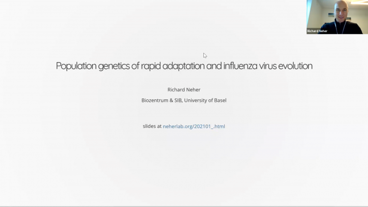 Population genetics of rapid adaptation and influenza virus evolution