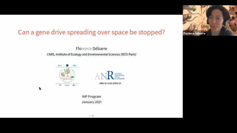 Can a gene drive spreading over space be stopped?