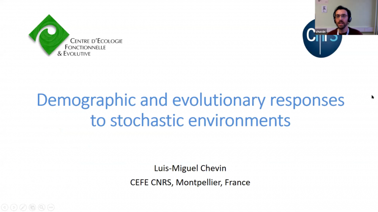 Demographic and evolutionary responses to stochastic environments