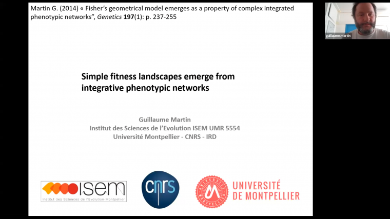 Emergence of a simple fitness landscape from integrated phenotypic networks: can we (re)concile long term fitness trajectories and mutant fitness data
