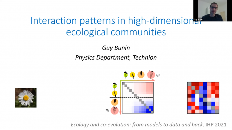 Interaction patterns in high-dimensional ecological communities