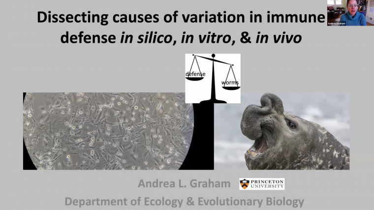 Dissecting causes of variation in immune defense in silico, in vitro, & in vivo