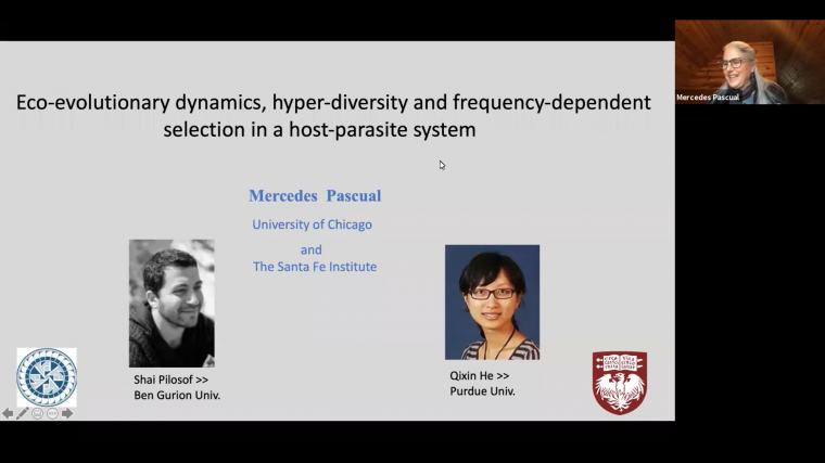 Eco-evolutionary dynamics, hyper-diversity and frequency-dependent selection in a host-parasite system