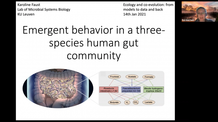Emergent behaviour in a three-species human gut community