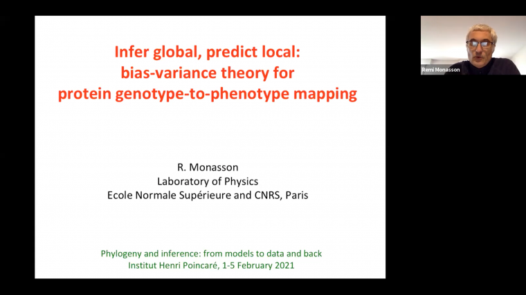 Infer global, predict local: on the trade-off between statistical models and sequence data for protein fitness reconstruction