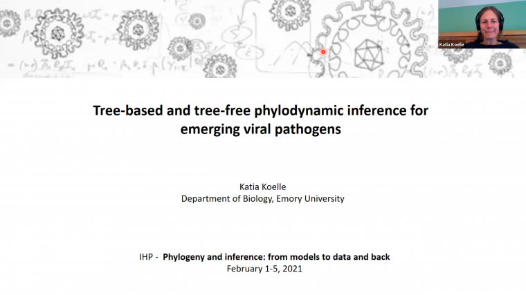 Tree-free phylodynamic inference for emerging viral pathogens and lineages