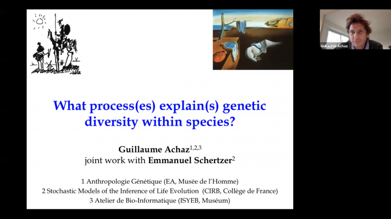 What process(es) explain(s) genetic diversity within species?