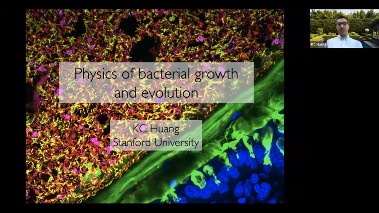 Bacterial evolution in complex environments