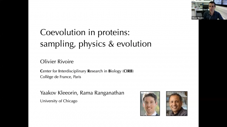 Models of coevolution in proteins: sampling, physics and evolution