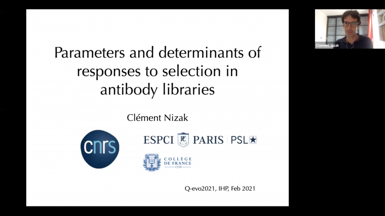 Parameters and determinants of responses to selection in antibody libraries
