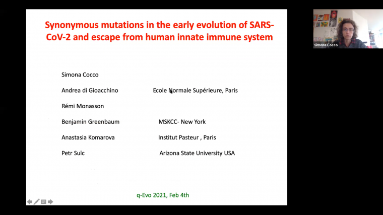 Synonymous mutations in the early evolution of SARS-CoV-2 and escape from human innate immune system