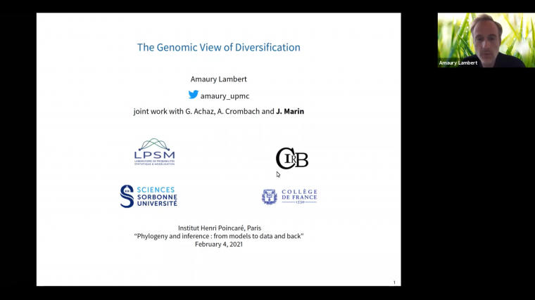 The genomic view of diversification