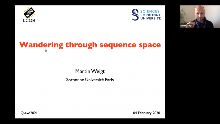 Wandering through sequence space
