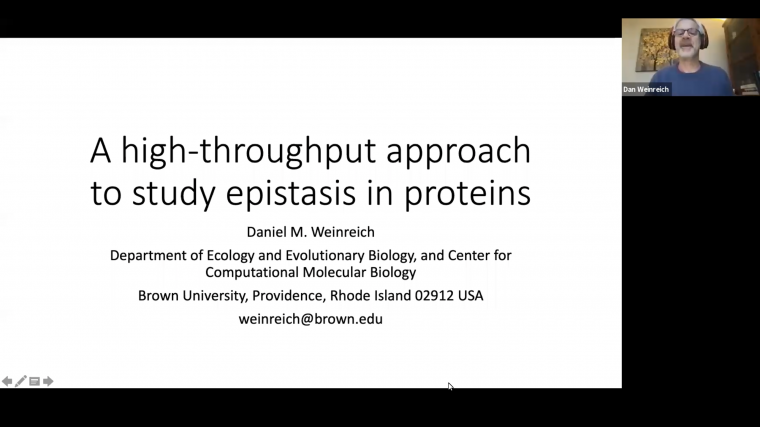 A high-throughput approach to study epistasis in proteins