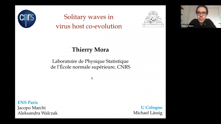 Solitary waves in virus-host co-evolution