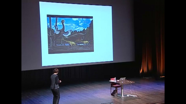 Darwin : le hasard et l’évolution