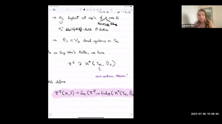 Shimura Varieties and Modularity (2/3)