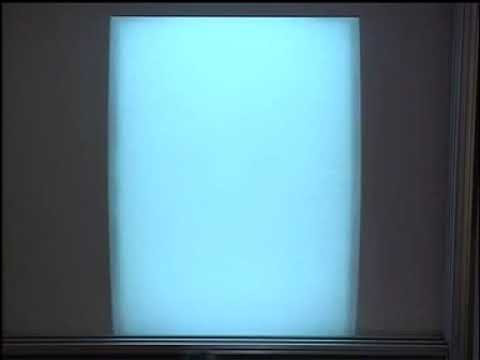 Supergravity, Constraints and the E_10 Coset Model