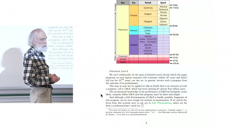 Mathematical Description of Biological Structures (4/4)