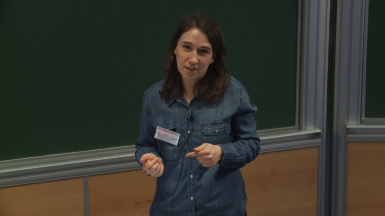 ROMA: Representation and Quantification of Activity from target expression data