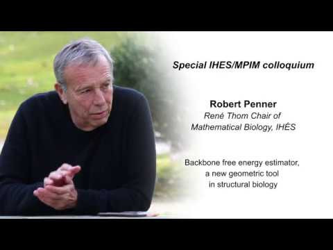 Backbone free energy estimator, a new geometric tool in structural biology